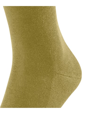 Falke Socken Family in Olive