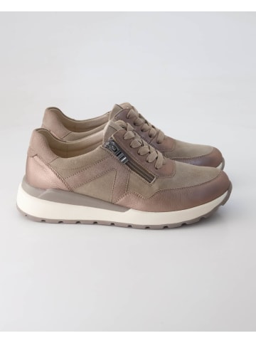 Terry Sportliche Schnürschuhe in Beige