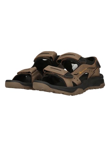 Whistler Sandalen Trani in 1136 Simply Taupe