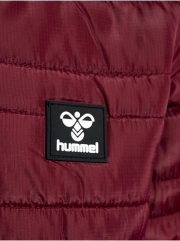 Hummel Reißverschluss Jacke Hmlmosse Mädchen in !WINDSOR WINE