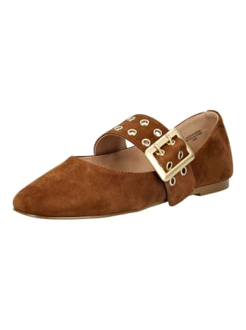Steve Madden Ballerinas in Chestnut