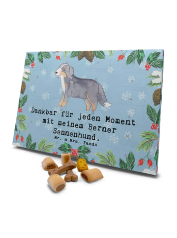 Mr. & Mrs. Panda Hund Adventskalender Berner Sennenhund Moment m... in Eisblau