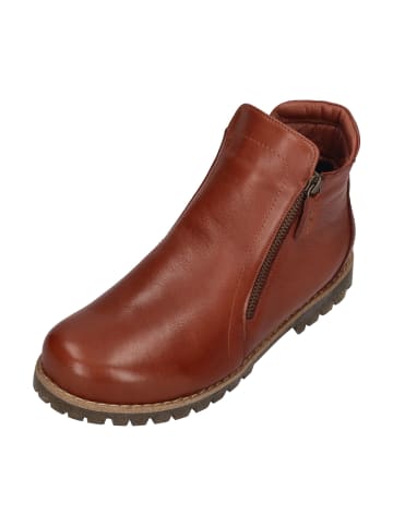 Andrea Conti Stiefeletten 0344818-070 in braun