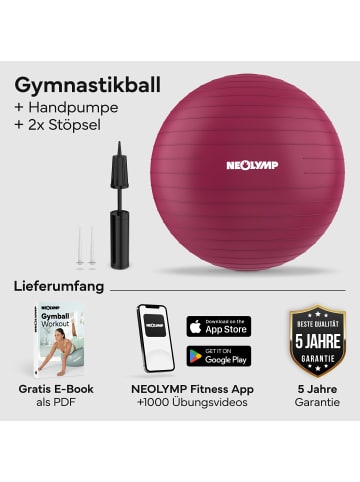 Gymnastikball "GB210" M in Himbeerrosa Ø 65 cm