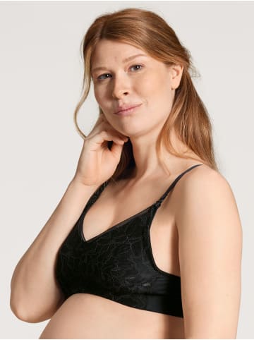 Calida Still-BH in black C2C