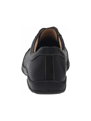 Finn Comfort Schnürschuhe in schwarz