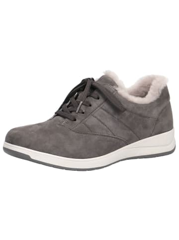 Caprice Sneaker in DK GREY SUEDE