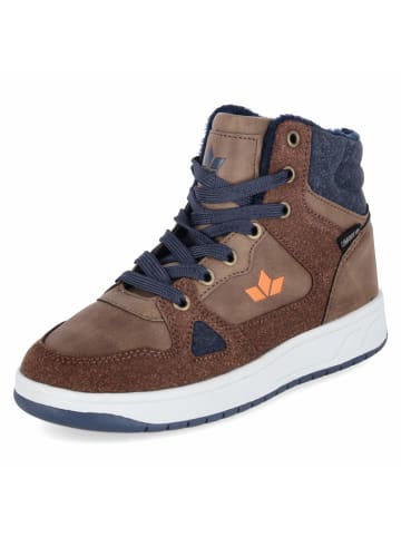 Lico High Sneaker COLDEN in braun