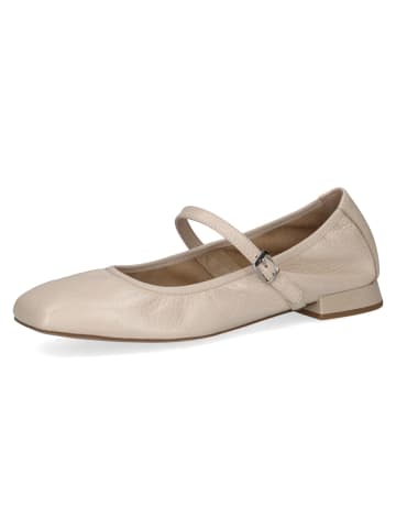 Caprice Ballerinas in Beige