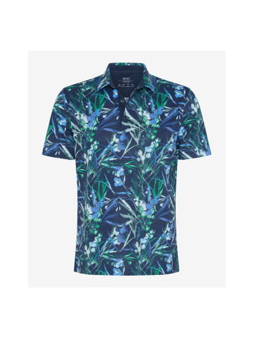 BRAX  Polo in universe