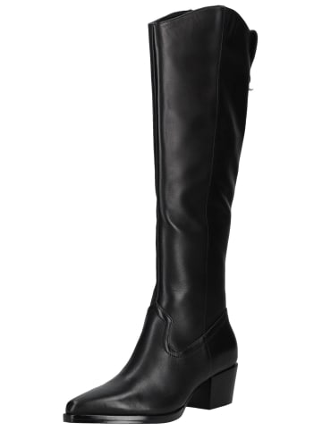 DOLCE VITA Stiefel in Schwarz
