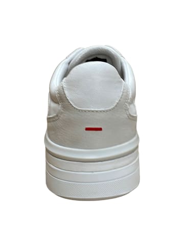 LLOYD Sneaker Low in Weiß