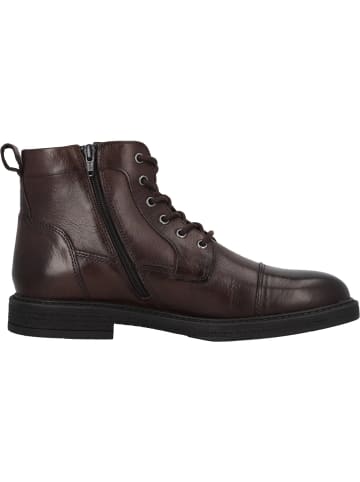 palado Schnürstiefel in d brown 302