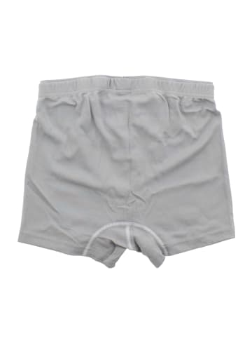 Jack Wolfskin Shorts Dryarn Pro in Grau