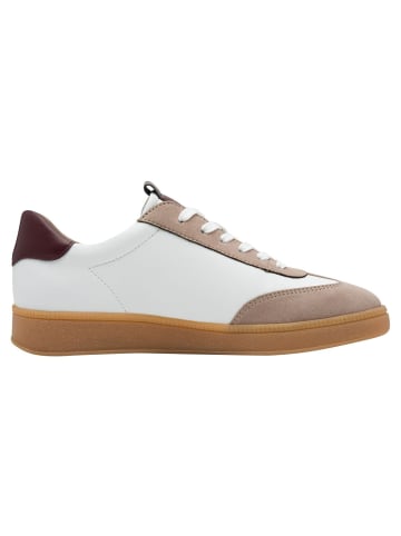 Marco Tozzi BY GUIDO MARIA KRETSCHMER Sneaker in TAN COMB