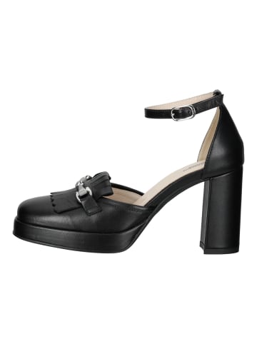 Nero Giardini Pumps in Schwarz