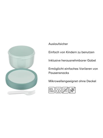 Mepal Fruchtbox Campus 300 ml in Fairy Garden