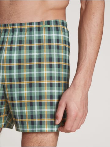 Calida Boxershorts in laurel green