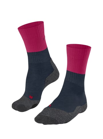 Falke Sportsocken TK2 in Barolo