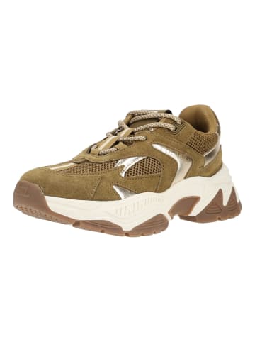 Steve Madden Sneaker AMPLE in Olive