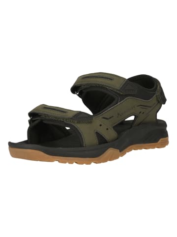 Whistler Sandalen Trani in 3061 Ivy Green