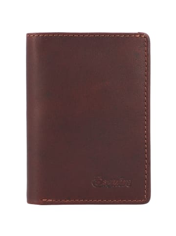 Esquire Oslo Geldbörse RFID Leder 8 cm in braun