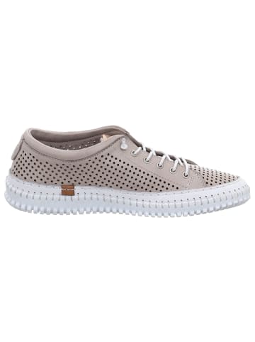Andrea Conti SHOES Slipper in new taupe/ kombi