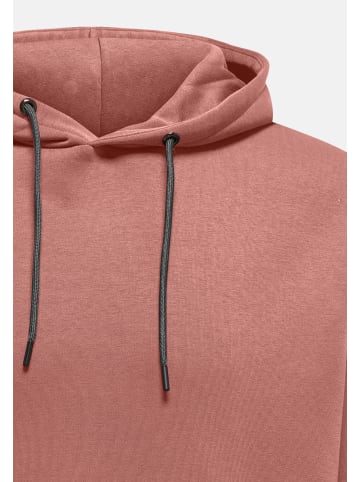 ONLY & SONS Sweatshirt / Hoodie Ceres in Ash rose