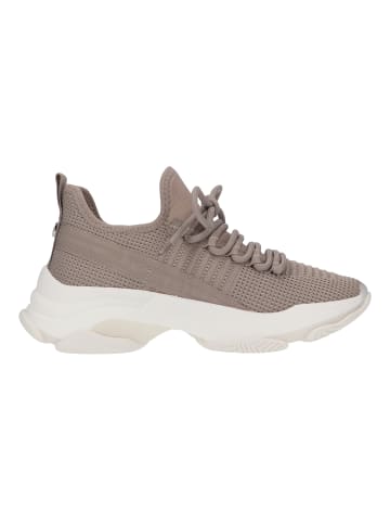 Steve Madden Sneaker in Taupe