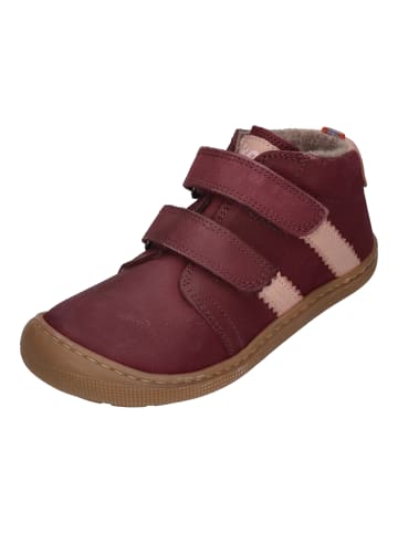KOEL Ankle Boots DAVID HYDRO FELT in rot