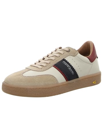 Camel Active Sneaker in beige