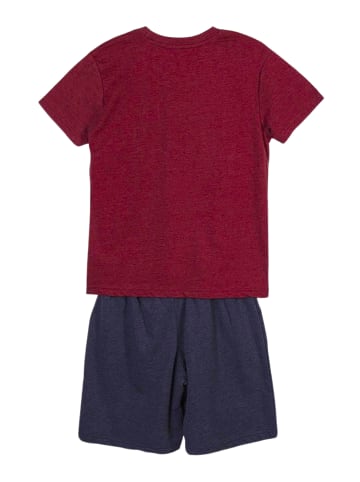 Cerda 2tlg. Outfit T-Shirt & Shorts Harry Potter  in Bordeaux-Dunkelgrau