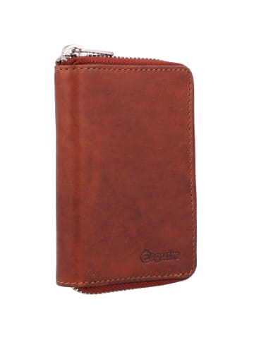 Esquire Oslo Dallas Geldbörse RFID Leder 8 cm braun