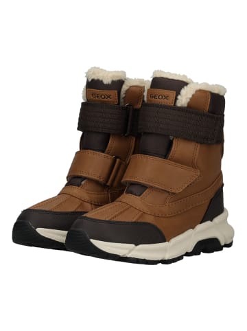 Geox Stiefel in Dunkelbraun/Braun