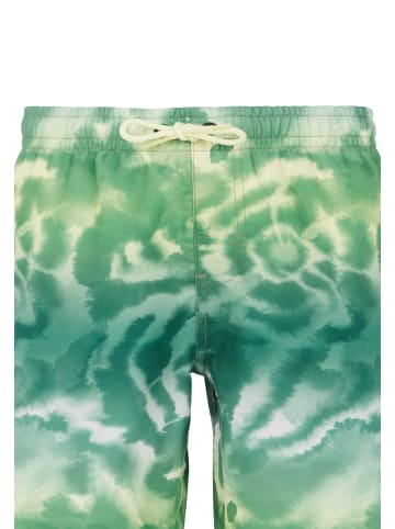 Protest " PRTDANIEL JR in Frosty Green