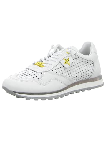 Cetti Sneaker Low in weiß