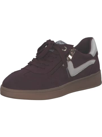 Marco Tozzi Schnürschuhe in VINO COMB