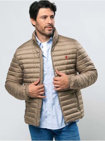 MCS Mantel Santos in Walnut