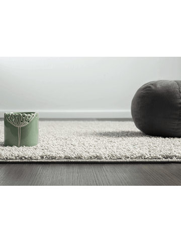 the carpet Hochflorteppich Foxy in Grau