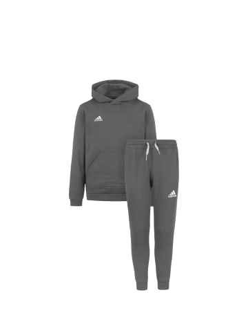 adidas Performance Jogginganzug Entrada 22 Express Set in grau