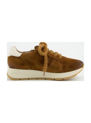 Paul Green Sneaker Low in Braun