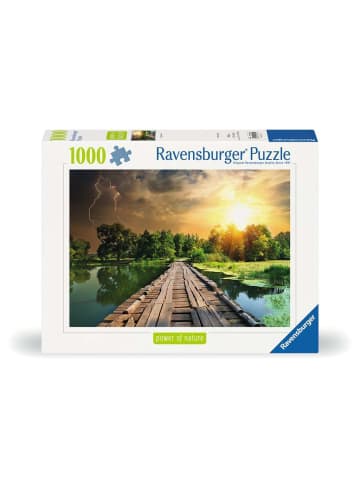 Ravensburger Puzzle 1.000 Teile Erwachsenenpuzzle 1000 Teile - Mystisches Licht Ab 14 Jahre in bunt