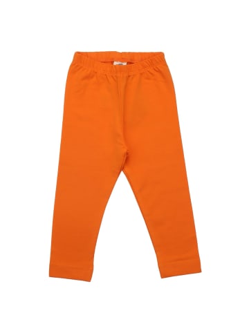 Walkiddy Leggings Mango Sorbet - Baumwolle (Bio)