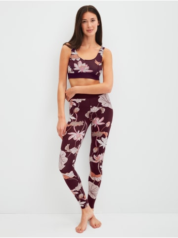 Calida Leggings in black cherry