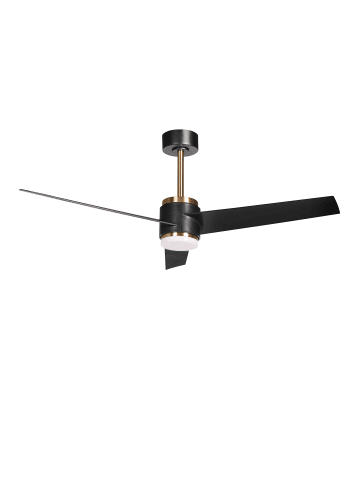 Beliani 2-tlg Deckenventilator mit Licht TROUT in Schwarz/Gold