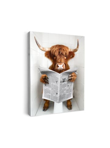 MuchoWow Leinwand bilder Zeitung Schottisches Hochlandrind