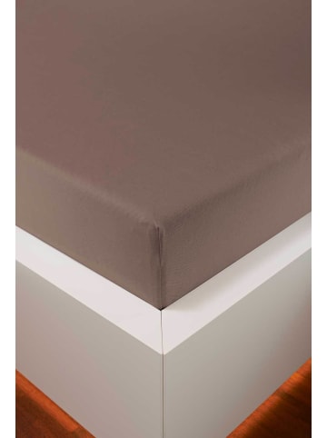 bellana jersey Spannbetttuch Edel-Jersey Elasthan in kakao