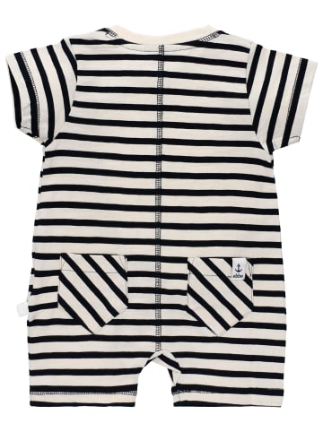 ebbe Shorty Sean in Offwhite stripe