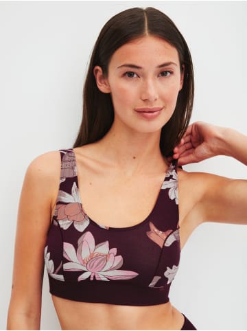 Calida Bustier in black cherry