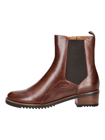 Everybody Stiefelette in Kastanie
